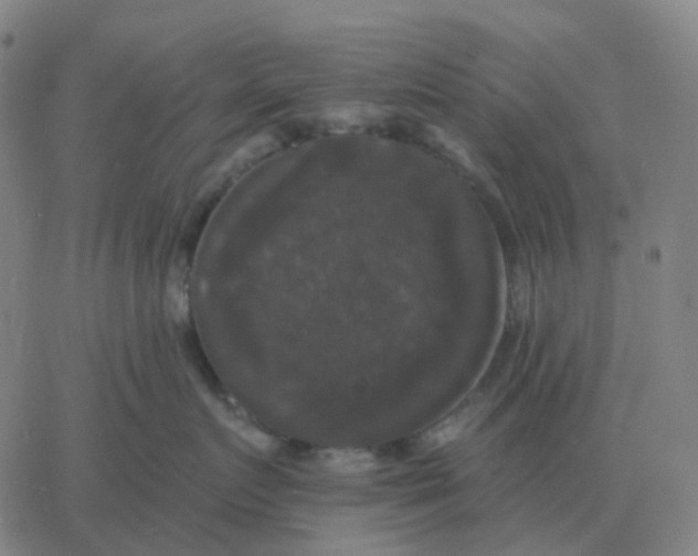 X0000060790719200512082124