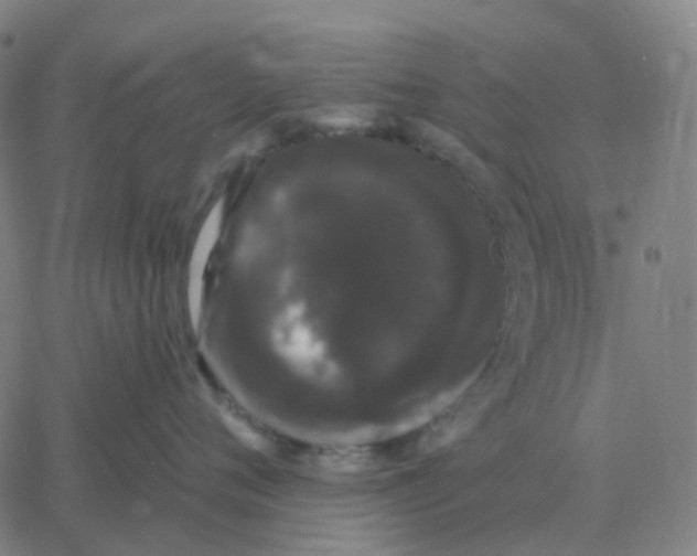 X0000060790720200512082124