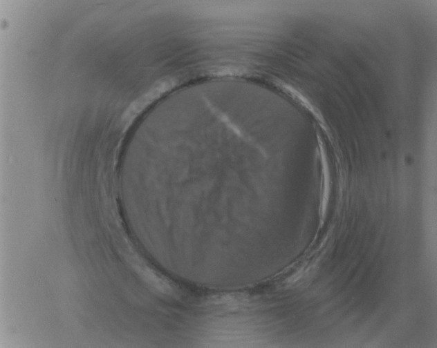 X0000060790721200512082123