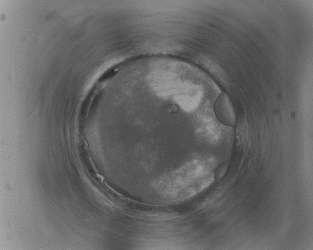 X0000060790722200512082123