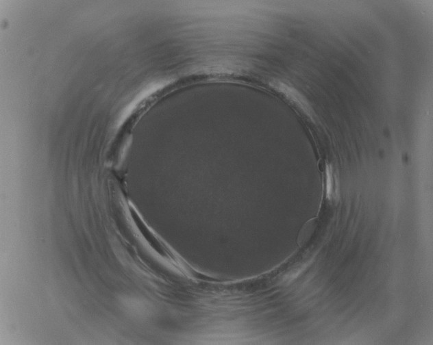 X0000060790723200512082123