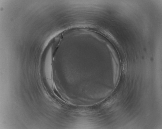 X0000060790724200512082123