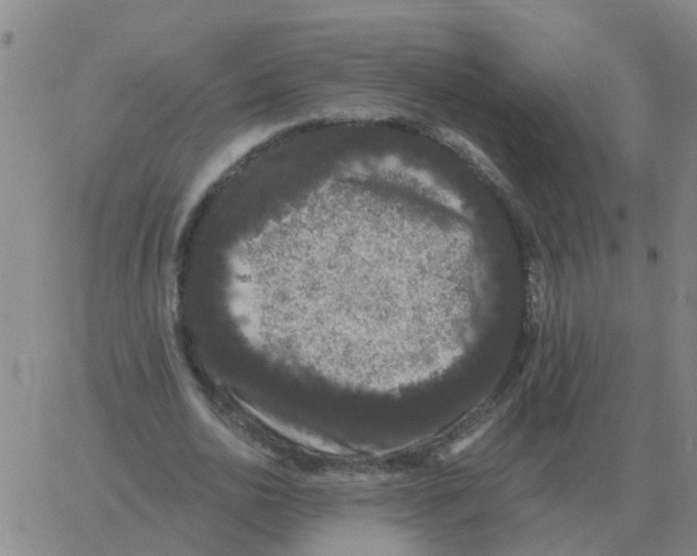 X0000060790726200512082123