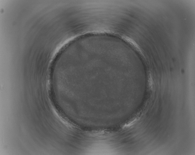 X0000060790728200512082123