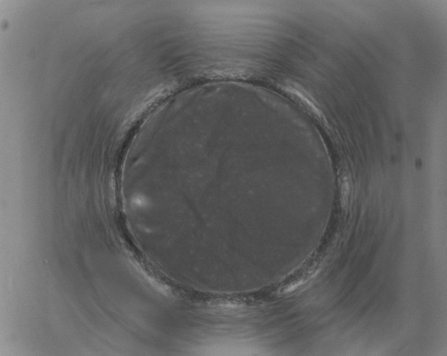 X0000060790729200512082123