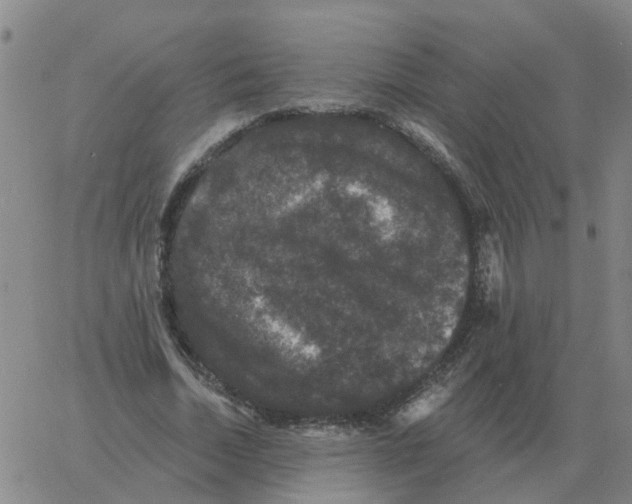 X0000060790730200512082123