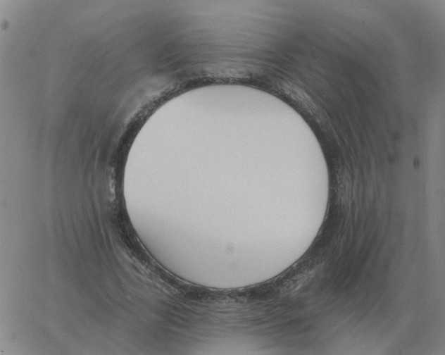 X0000060790731200512082123