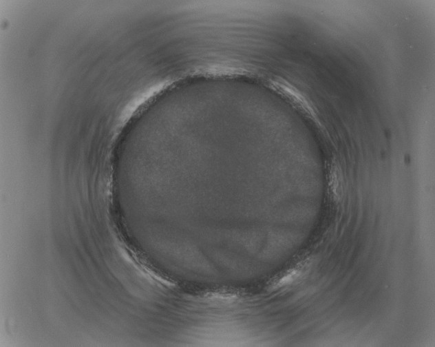 X0000060790732200512082123