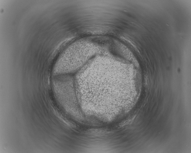 X0000060790733200512082123