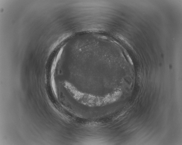 X0000060790734200512082123