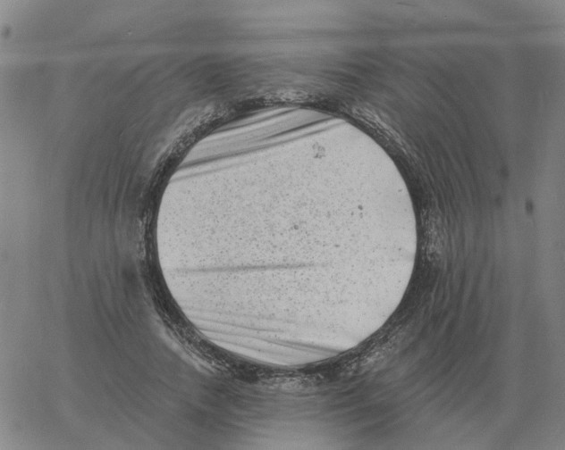 X0000060790738200512082123