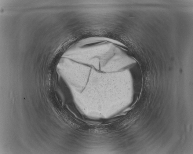 X0000060790739200512082123