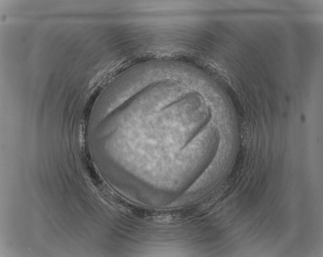 X0000060790740200512082123