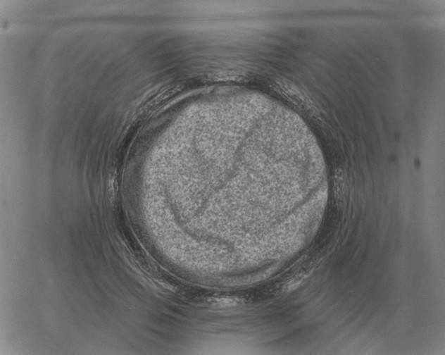 X0000060790741200512082123