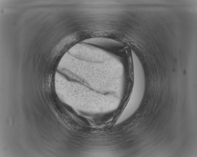 X0000060790742200512082123