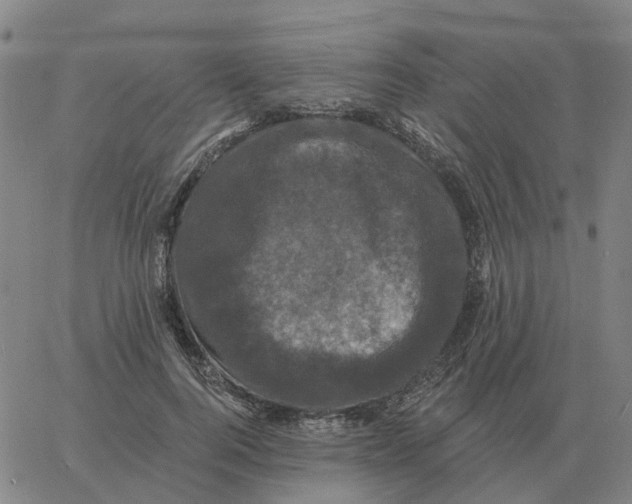 X0000060790744200512082124