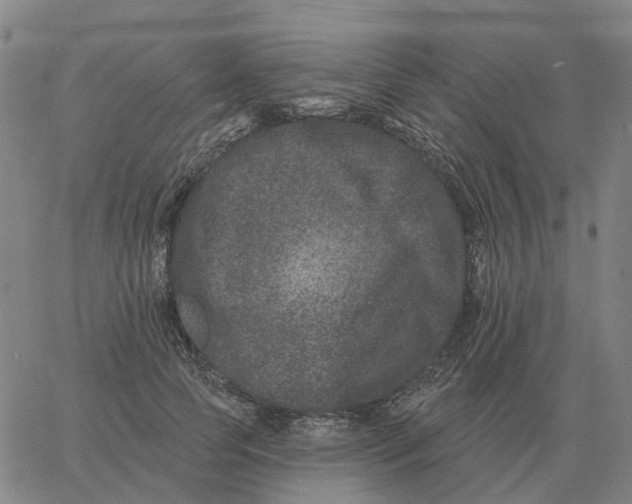 X0000060790745200512082124