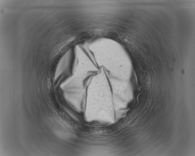 X0000060790746200512082124