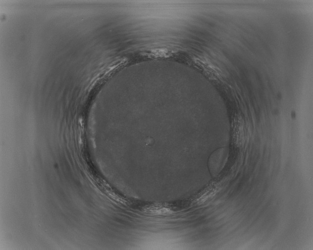 X0000060790747200512082124