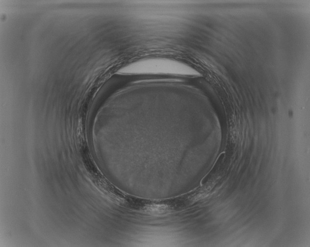 X0000060790748200512082124