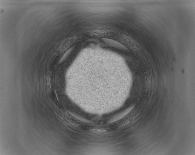 X0000060790749200512082124