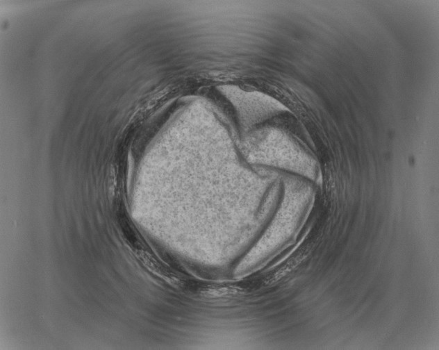 X0000060790752200512082124