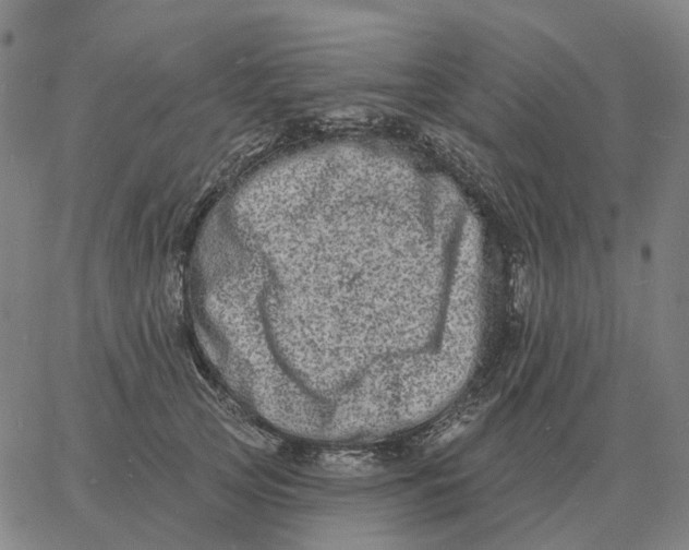 X0000060790753200512082124