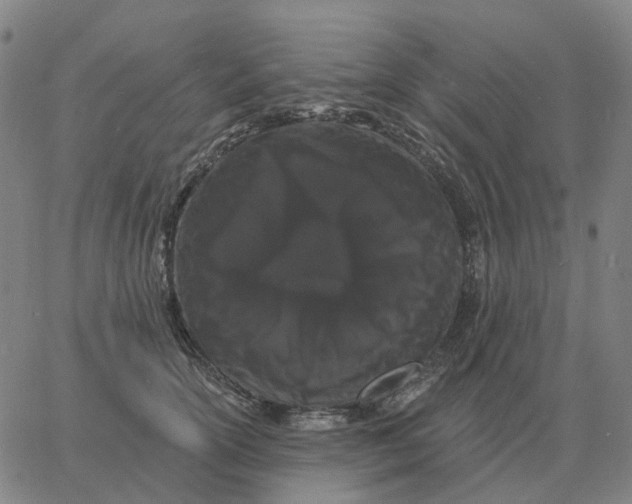 X0000060790754200512082124