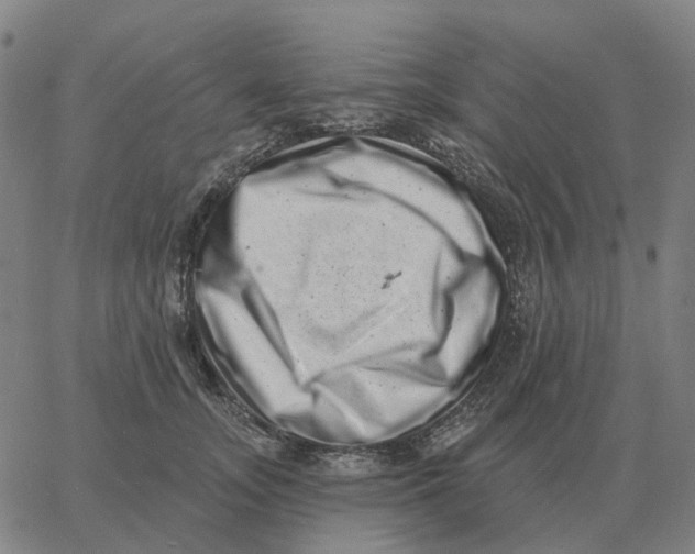 X0000060790755200512082124