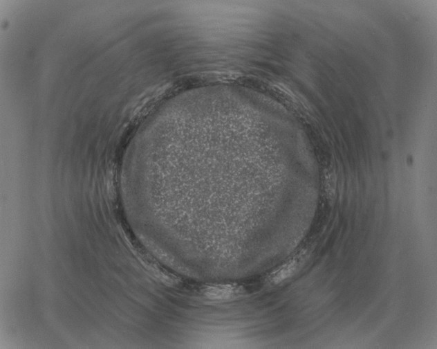 X0000060790757200512082124