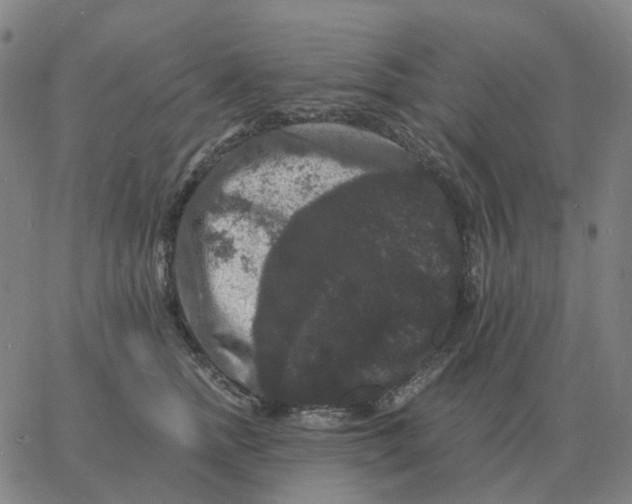 X0000060790758200512082124