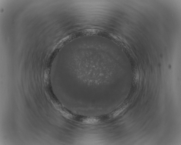 X0000060790759200512082124