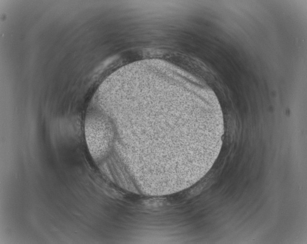 X0000060790761200512082124