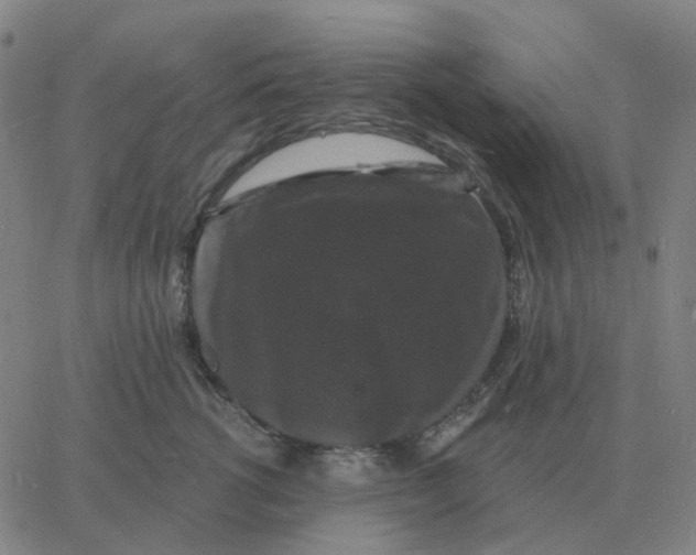 X0000060790762200512082124