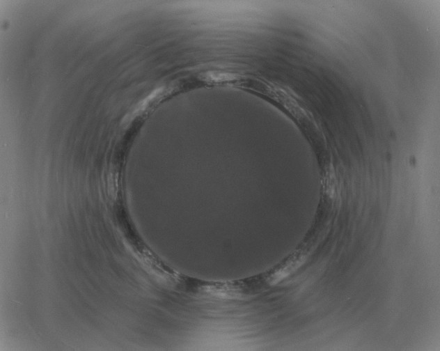 X0000060790763200512082124