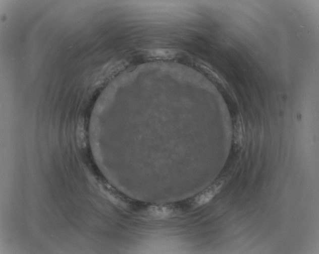 X0000060790764200512082124