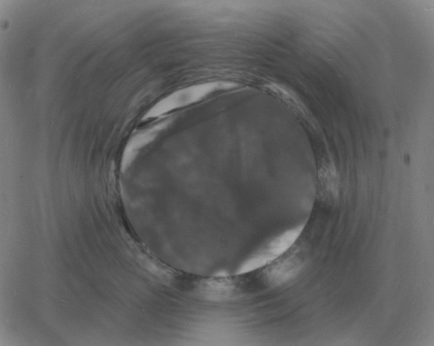 X0000060790765200512082124