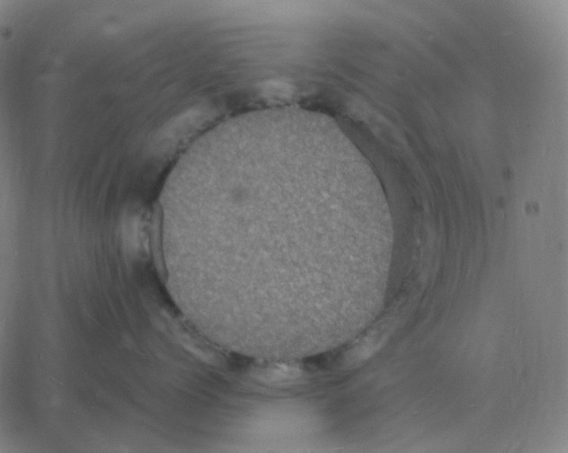 X0000060790768200512082124