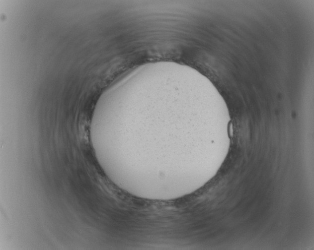 X0000060790770200512082123