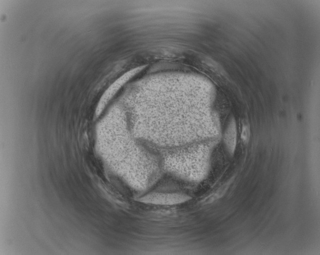 X0000060790771200512082123