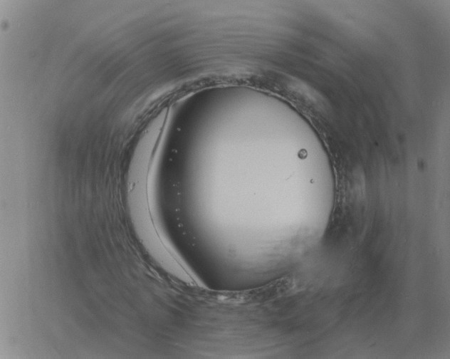 X0000060790773200512082123