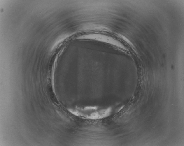 X0000060790775200512082123