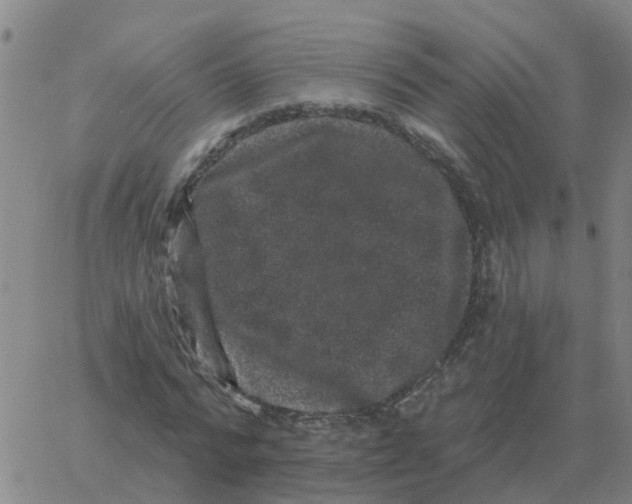 X0000060790776200512082123