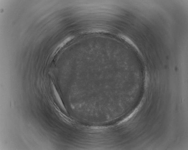 X0000060790777200512082123