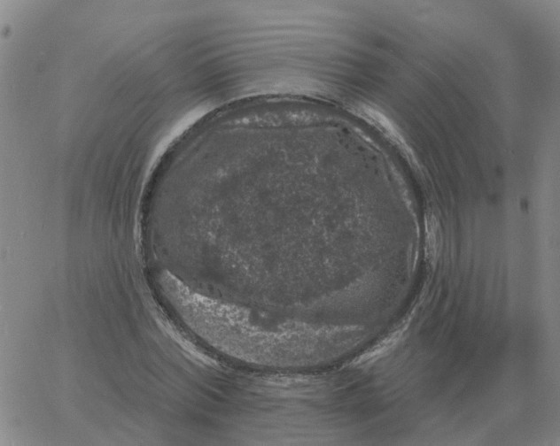 X0000060790780200512082123