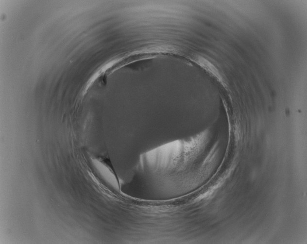 X0000060790781200512082123