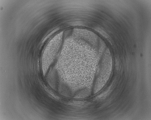 X0000060790782200512082123