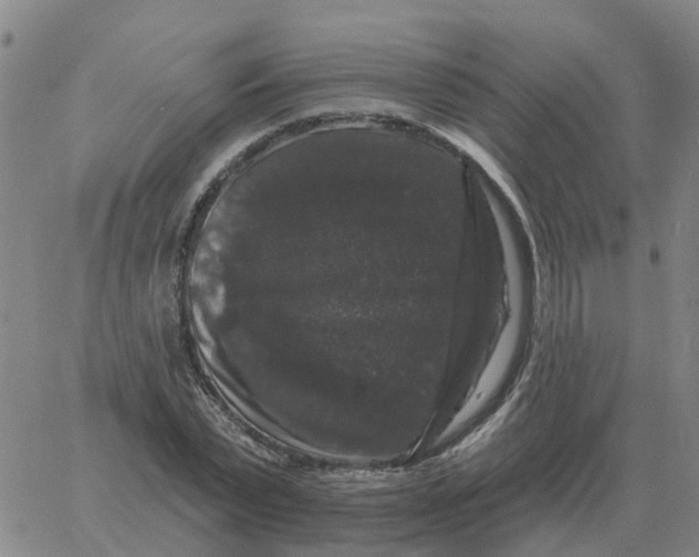 X0000060790783200512082123