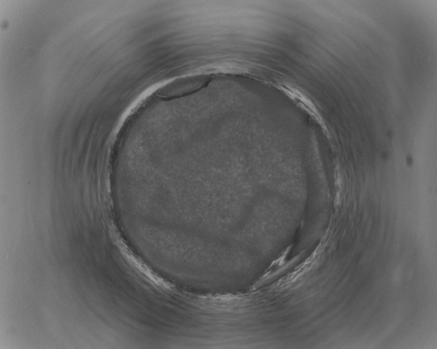 X0000060790784200512082123