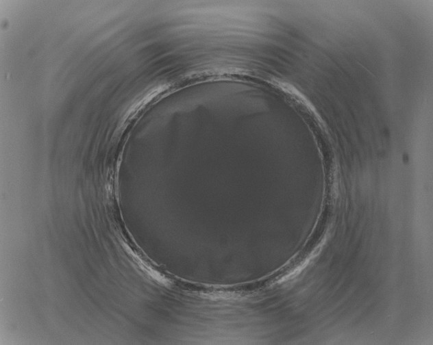 X0000060790785200512082123